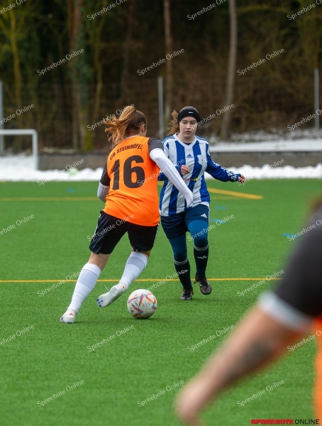 Spreebote-VfB-Frauen-Wriezen-Nachholspiel-002