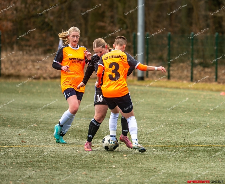 Spreebote-VfB-Steinhofel-Frauen-Letschin-016