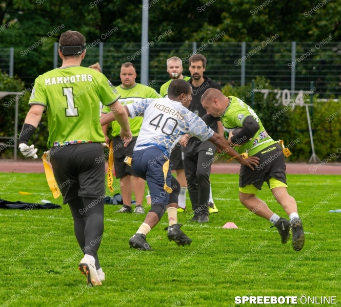 Spreebote-Drei-Jahre-Mammoths_gallery1_12-1