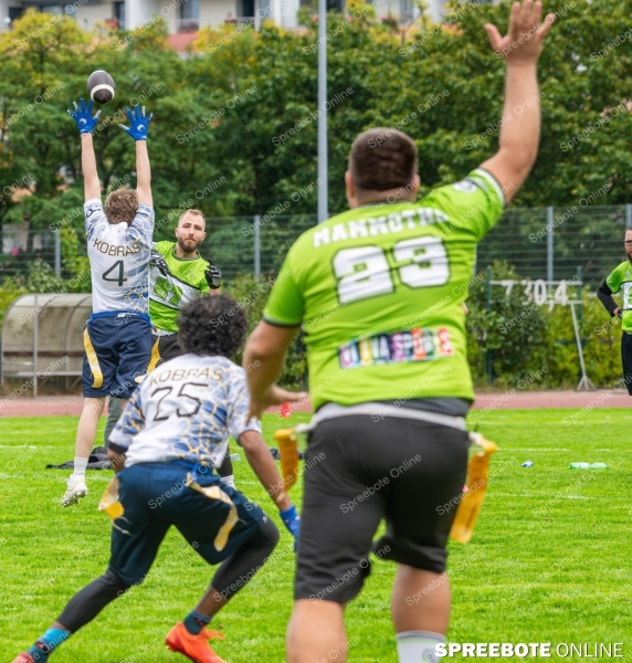 Spreebote-Drei-Jahre-Mammoths_gallery1_47
