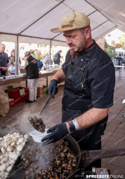 Spreebote-Furstenwalde-feiert-sein-Erntefest_gallery1_15
