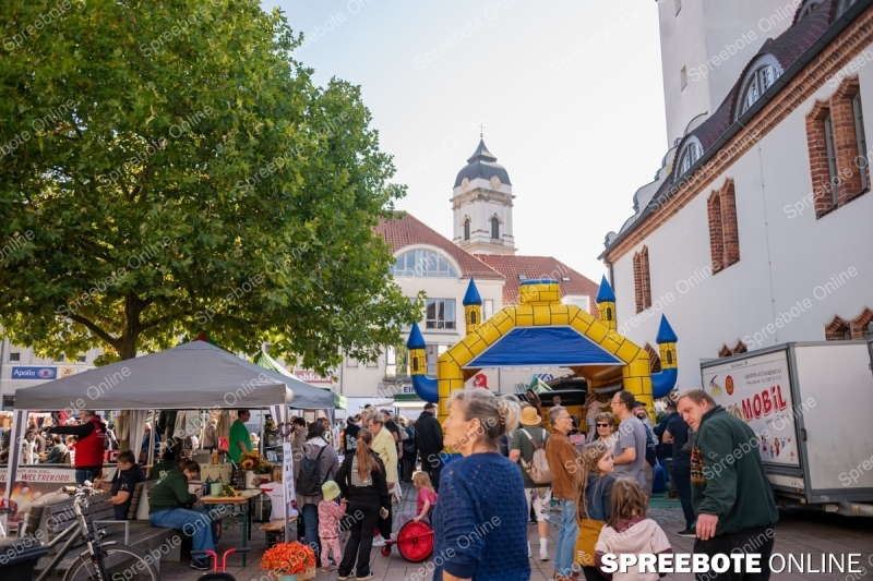Spreebote-Furstenwalde-feiert-sein-Erntefest_gallery1_19