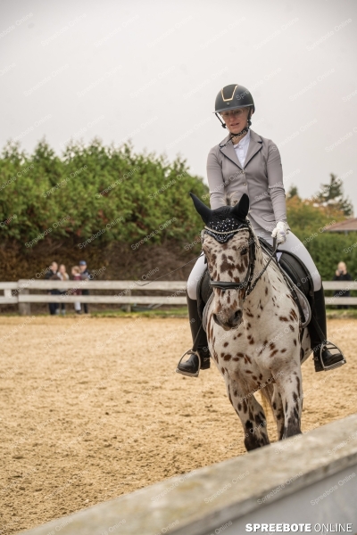 Spreebote-Volle-Konzentration-im-Sattel_gallery1_12