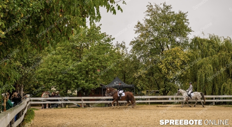 Spreebote-Volle-Konzentration-im-Sattel_gallery1_13