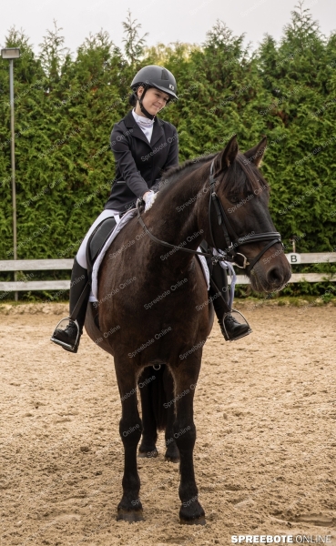 Spreebote-Volle-Konzentration-im-Sattel_gallery1_21