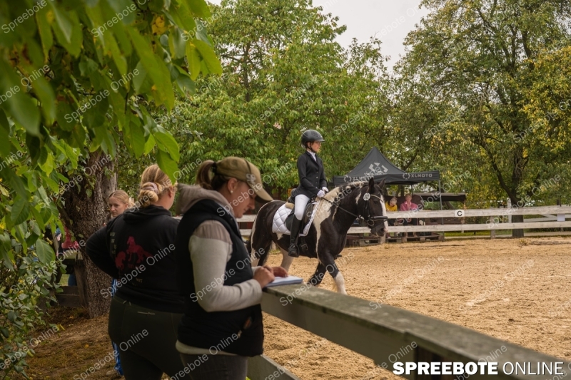 Spreebote-Volle-Konzentration-im-Sattel_gallery1_30