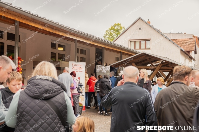 Spreebote-Endlich-wieder-da_gallery1_03