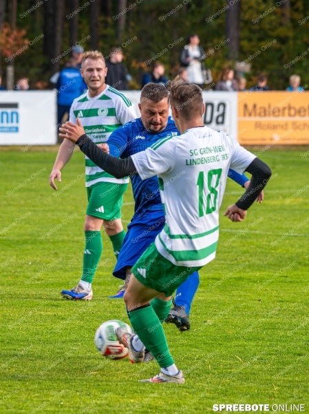 Spreebote-Briesen-lasst-Federn_gallery1_05