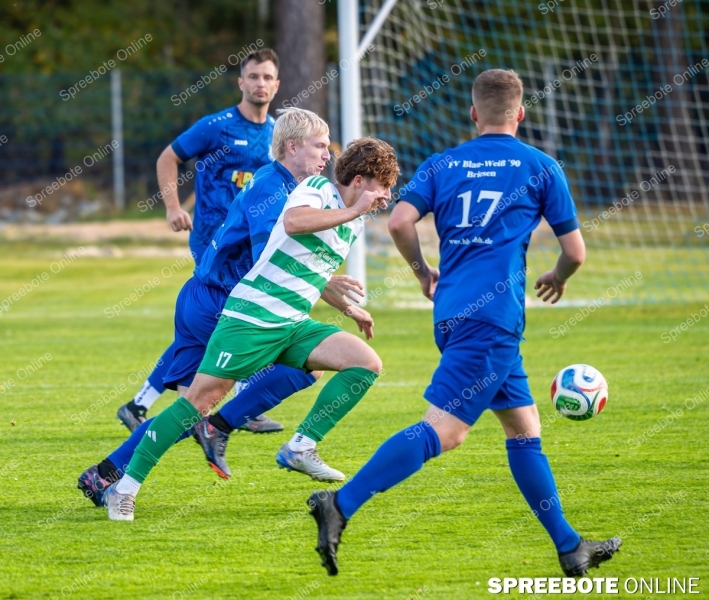 Spreebote-Briesen-lasst-Federn_gallery1_14