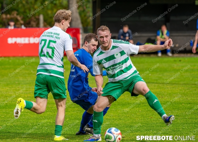 Spreebote-Briesen-lasst-Federn_gallery1_47
