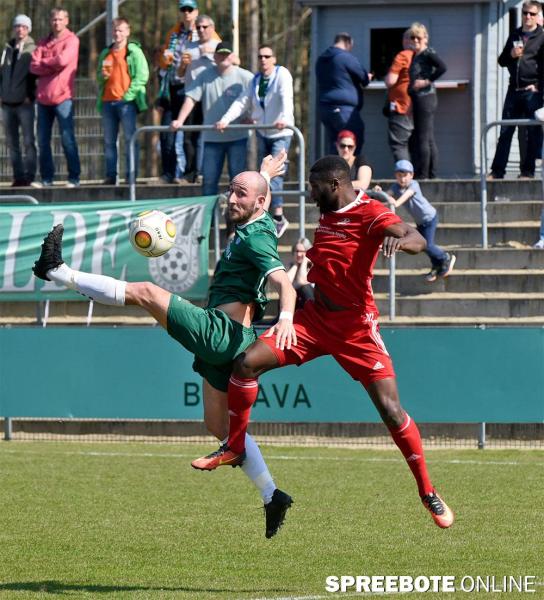 FSV-vs-Neustrelitz-6
