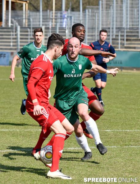 FSV-vs-Neustrelitz-8