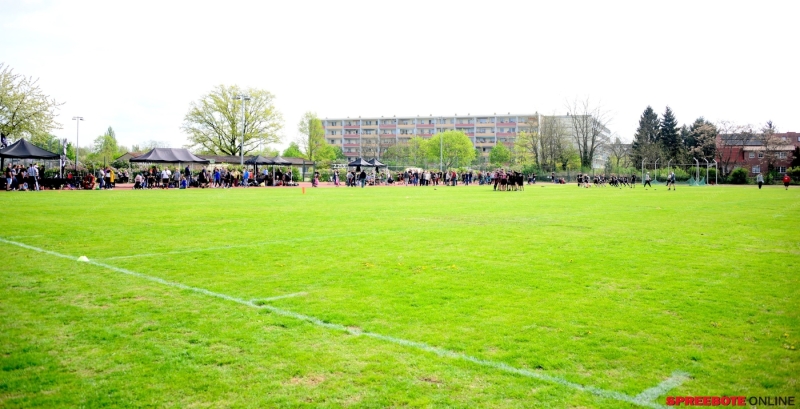 1.-Flg-Football-Turnier-Fuwa-Mammoths-002