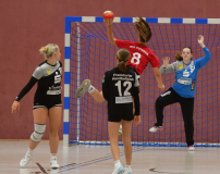 Pneumant-Hanball-Maedchen-Turnier-318