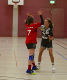 Pneumant-Hanball-Maedchen-Turnier-349