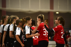 Pneumant-Hanball-Maedchen-Turnier-404