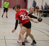 Pneumant-Hanball-Maedchen-Turnier-530