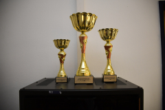 Pneumant-Hanball-Maedchen-Turnier-769-freistellen