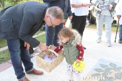 spreebote-100-Jahre-AWO-erkner20