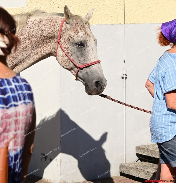 132.Samariteranstalten-004