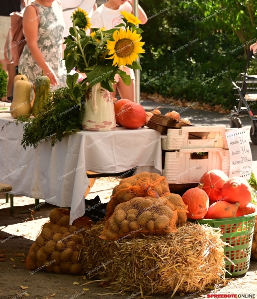 132.Samariteranstalten-022