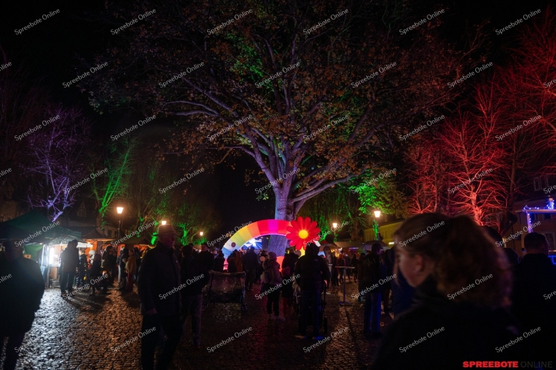 Spreebote-15.Storkow-Leuchtet-015