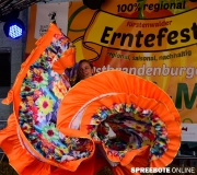 spreebote-2-Erntefest-Buergerbudget-Fuewa-162