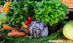 spreebote-2-Erntefest-Buergerbudget-Fuewa-254