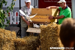 spreebote-2-Erntefest-Buergerbudget-Fuewa-451