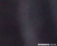 spreebote-GP-Bad-Saarow-022