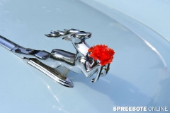 2-Simsontreffen-in-Fuewa-54