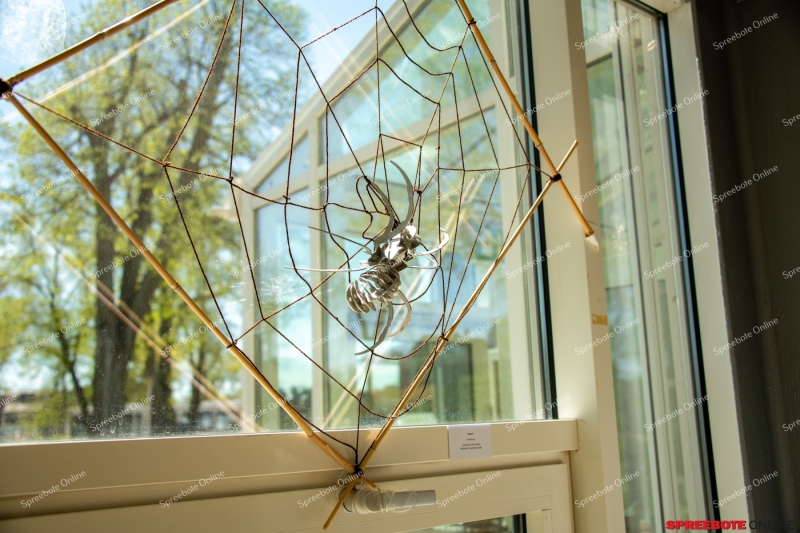 Spreebote-29.-Ermutigung-zeigt-Vielfalt_gallery1_08