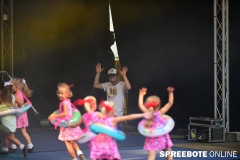 spreebote-Tanzkreis-40-Jahre-249