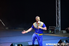 spreebote-Tanzkreis-40-Jahre-387