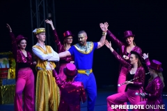 spreebote-Tanzkreis-40-Jahre-422