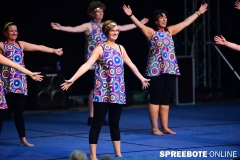 spreebote-Tanzkreis-40-Jahre-458