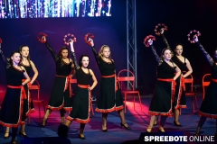 spreebote-Tanzkreis-40-Jahre-597