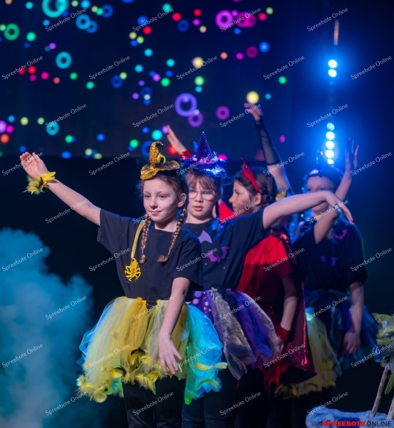 Spreebote-40-jahre-Trebuser-Karneval-012