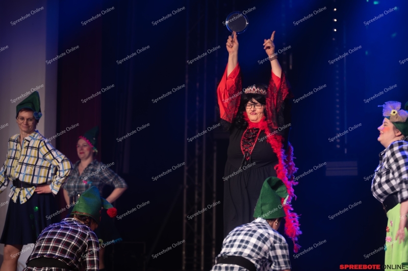 Spreebote-40-jahre-Trebuser-Karneval-018