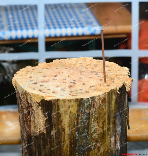 8.Buchholzer-Oktoberfest-003