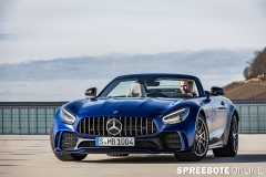 Mercedes-AMG-GT-R-1
