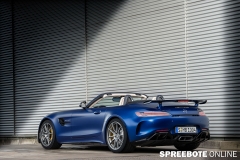 Mercedes-AMG-GT-R-2