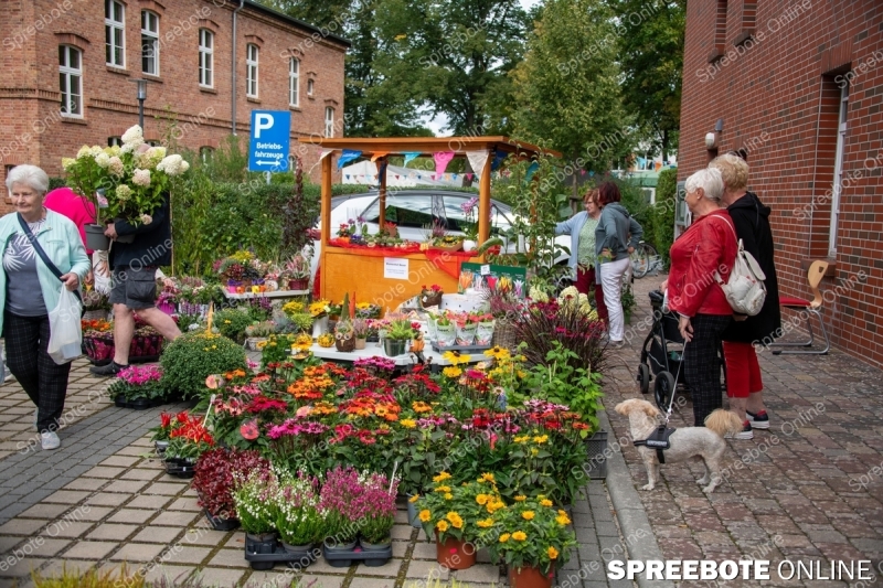 Spreebote-Begegnungen-und-bewegende-Momente_gallery1_10