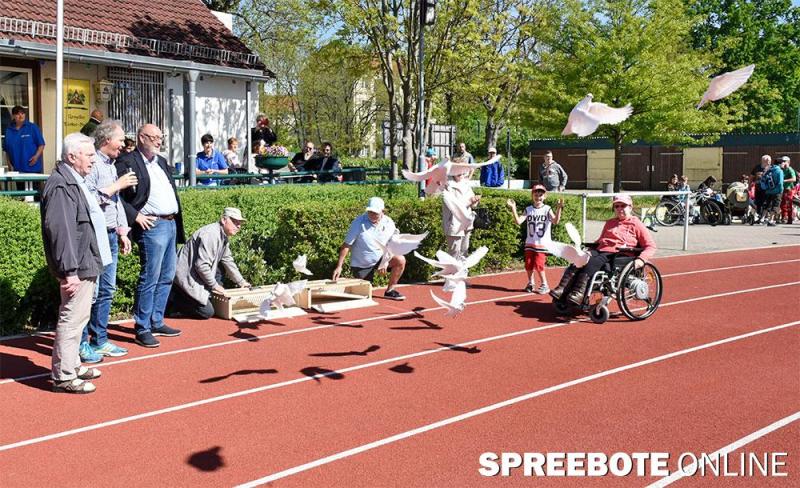 Behindertensportfest-3