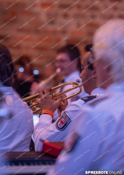 Spreebote-Benefizkonzert-mit-besonderer-Besetzung_gallery1_11