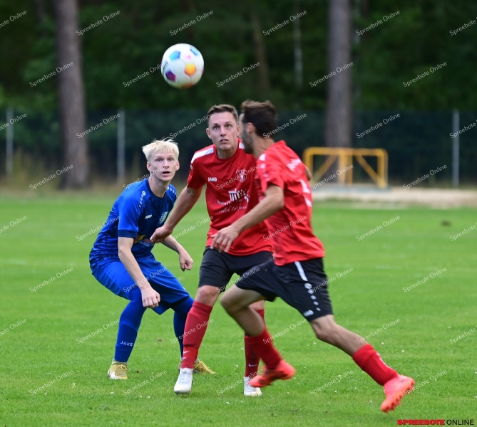 Biesen-II-Preussen-Bad-saarow-011