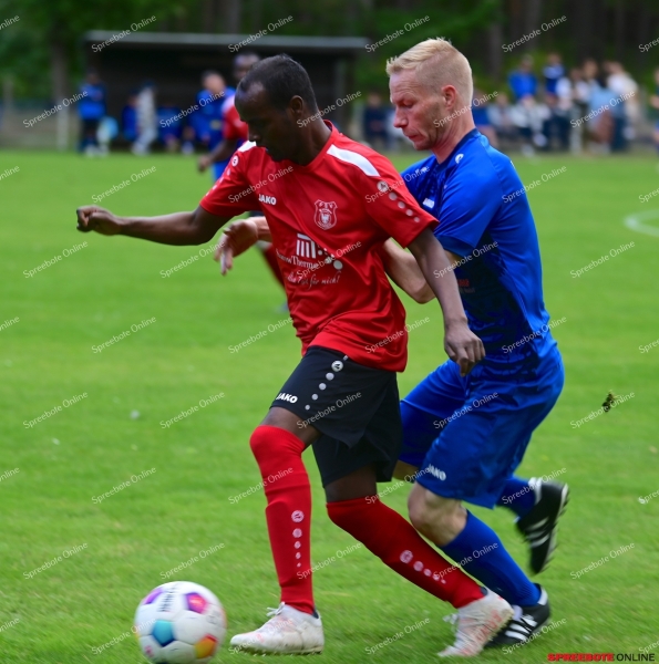 Biesen-II-Preussen-Bad-saarow-013