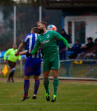 Blau-Weiss-Briesen-mit-Punktgewinn-23