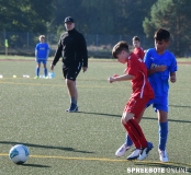 spreebote-Borussia-D-Preussen-Beeskow-263