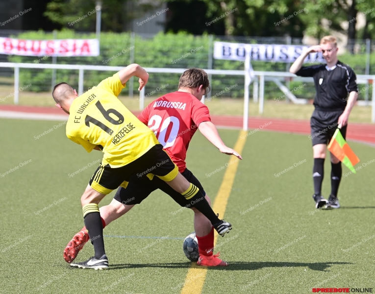 Borussia-FC-Wacker-Herzfelde-005